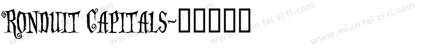 Ronduit Capitals字体转换